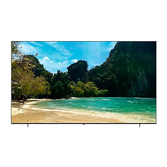 XION - TV LED 100" Whale