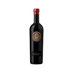 OCHAGAVIA - Icono Cabernet 750ml
