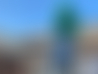 Professional gutter cleaning service by ProGutters in Roanoke, VA, removing debris from residential gutters