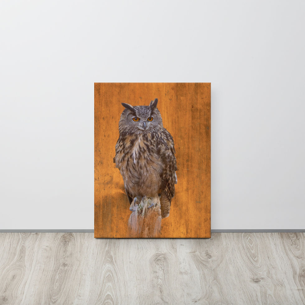 Thumbnail: Eurasian Eagle Owl on Antique Wood Background