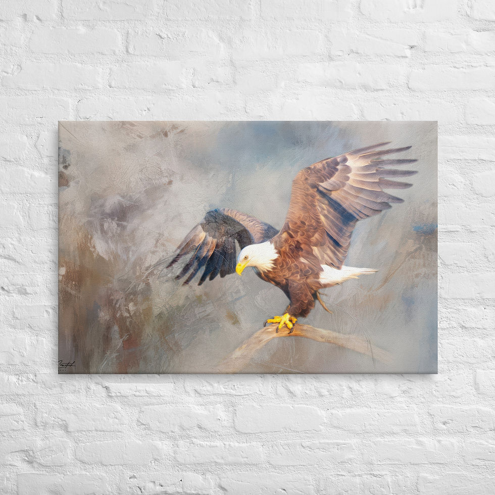 Thumbnail: Indian Lake Bald Eagle in Artful Fog