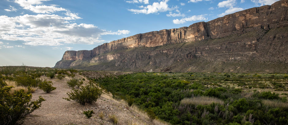 "I'm an Old Cowhand, (From the Rio Grande)"