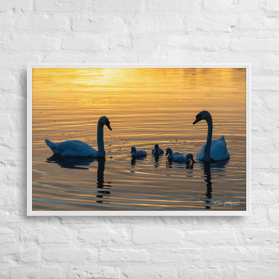 Thumbnail: Framed canvas