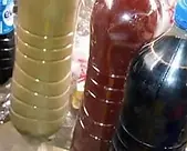 Untitled.webp