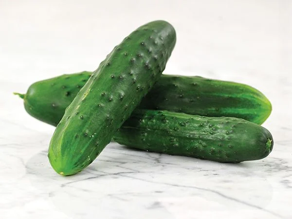 cucumber-marketmore-76-lss-dsc_0214.webp