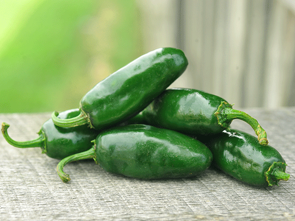 pepper-craigs-grande-jalapeno-hpp150-lss-000_1982.webp