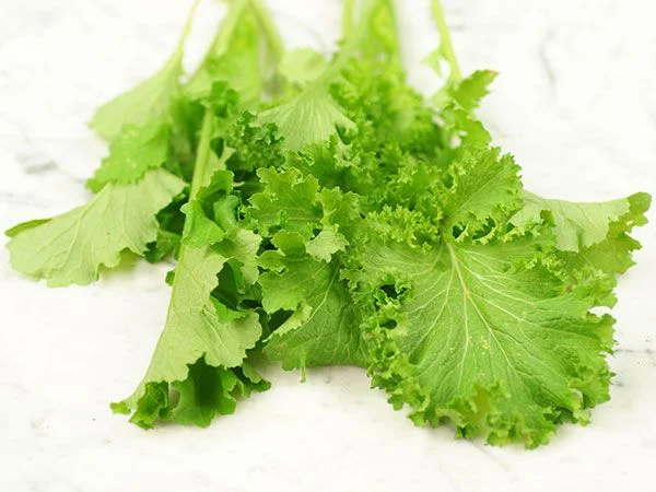 Greens-Mustard-Southern-Giant-OG110-DSC03232.webp