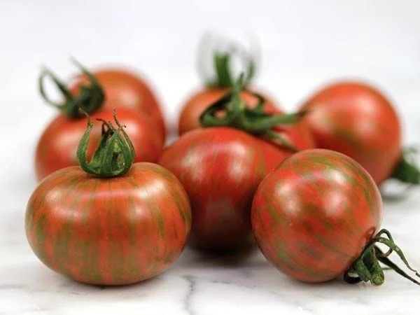 Tomato-Purple-Bumble-Bee-TS149-web-3.webp