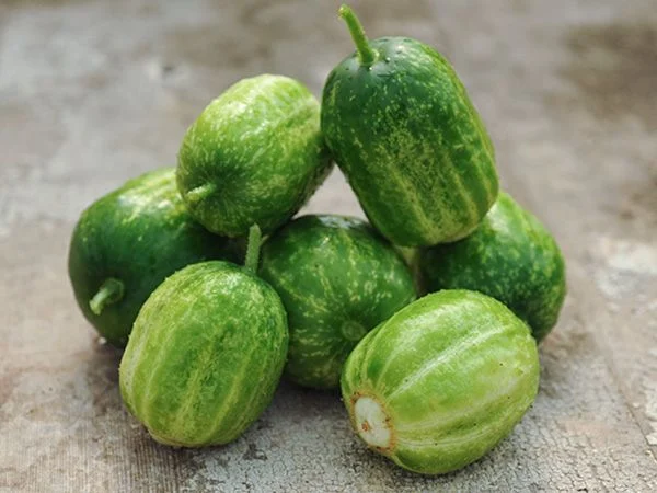 Cucumber-Richmond-Green-Apple-LSS-000_9754.webp