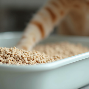 Vapocat Litter Overview: Features and Benefits of Vapocat Cat Litter