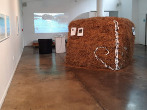 Recent publication in Degrowth Journal: Curating degrowth engagement through art-science-activism