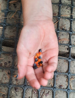 20230401_105327_edited