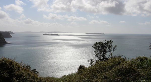 Hauraki Gulf at Wenderholm.jpg
