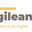 Writer: Agileance Staff