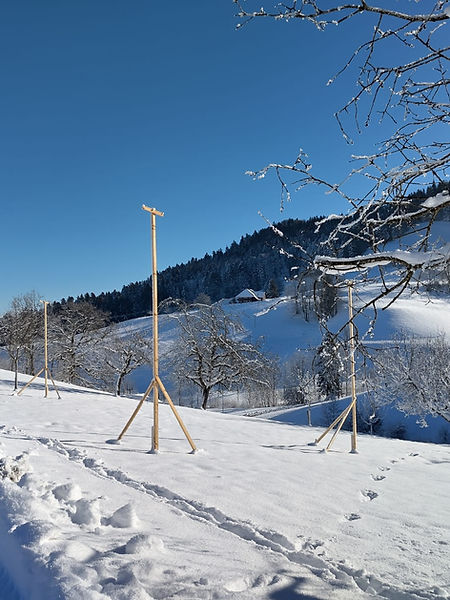 WhatsApp Bild 2025-09-16 um 20.04.46_0f83aaab.jpg