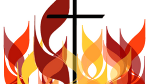 Scripture Reflection - May 23, 2021
