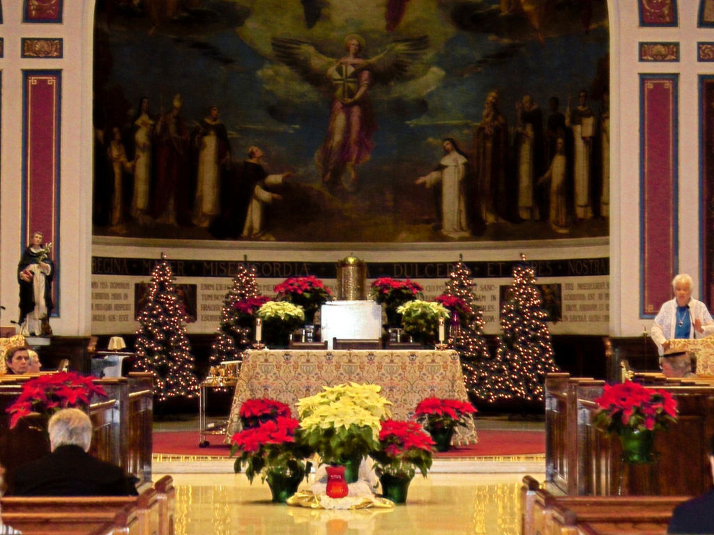 Sisters Sisters of Saint Dominic of Blauvelt, New York