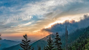 Scripture Reflection - November 27, 2016