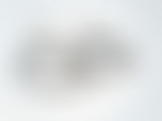 What is Open Enrollment?