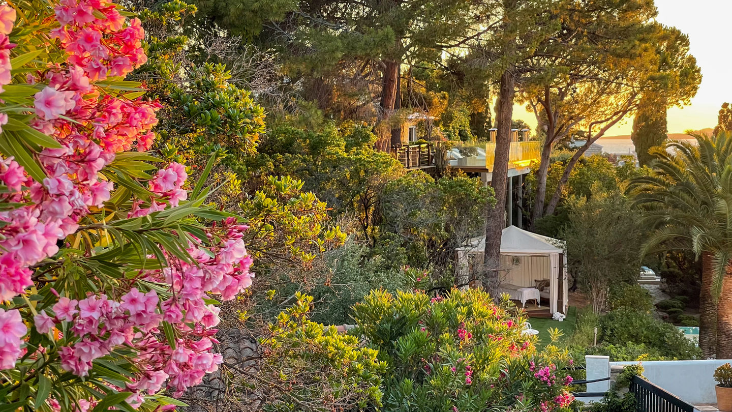 Miramard 2021-120.jpg