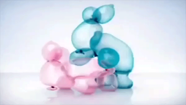 rabbits showing Endless amounts of energy