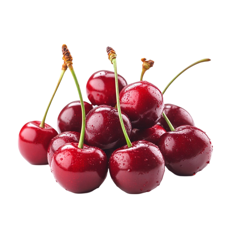 Kas gelişimi ve damar genişlemesi için BioxLab Arginine