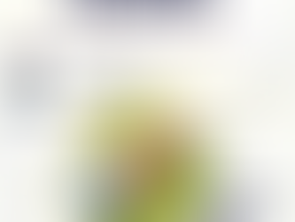 Реєстрація на навчально-формаційну програму «Безпечне інклюзивне середовище в закладах освіти» для педагогів дошкілля