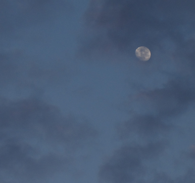 Night moon portrait