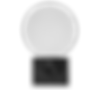 LAZARUS™ PolyTargets™--with-base-with-6inch-no sticker-(front).png
