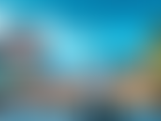 Tampa and Brandon Real Estate: Sam's Journey Through a Decade of Transformation