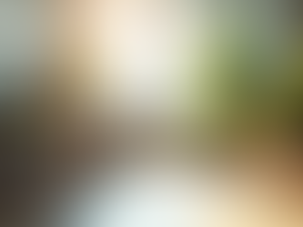 Boost Workplace Harmony: Effective HR Strategies for SMEs