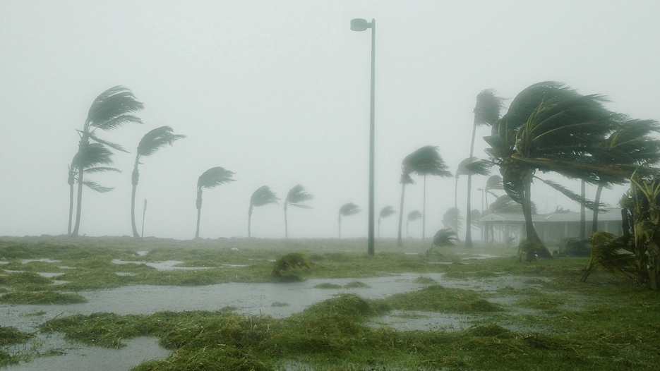 Wind 2.png