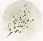 ChatGPT Image Aug 26, 2026, 05_41_07 AM.png