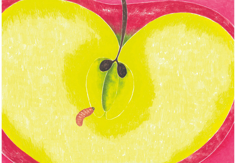 Le fruit.jpg