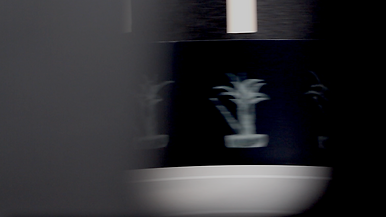 zoetrope1.png
