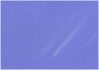 12.jpeg