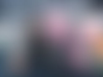 Cosas que hacer con tu perrito en Miami!! Firulais vamos a pasear!!!