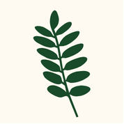 Writer: Jamie Samson