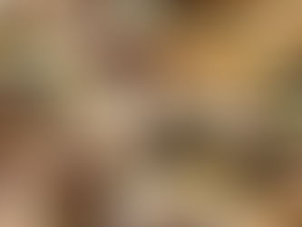 01/02 Les Champignons