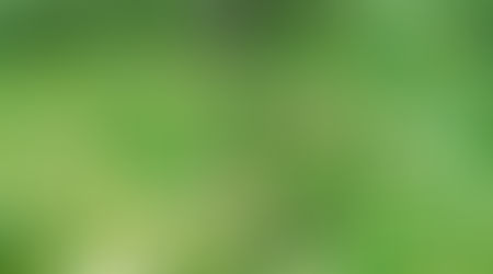 Day 140 of Wonder