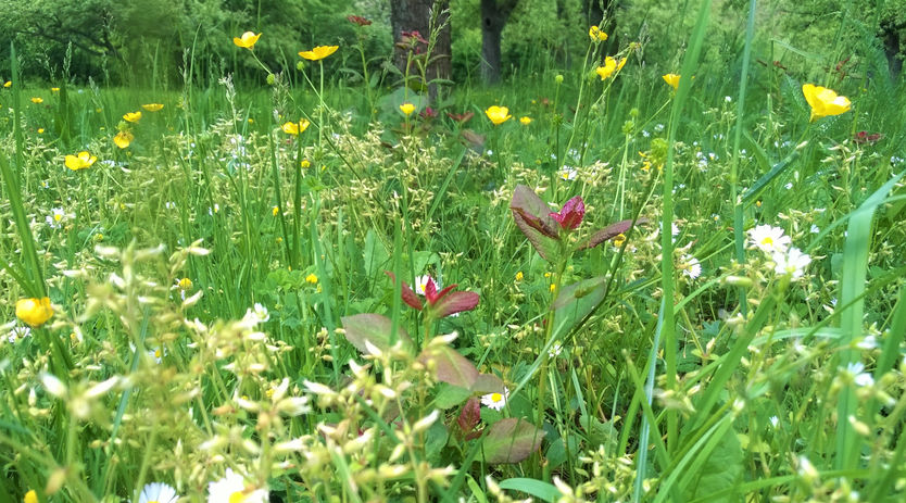 Day 140 of Wonder