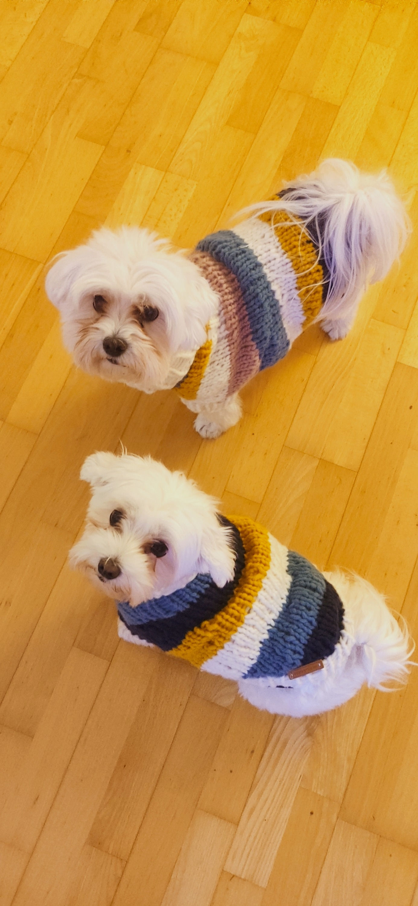 Pullover, Merino, handgestrickt, mbardanca