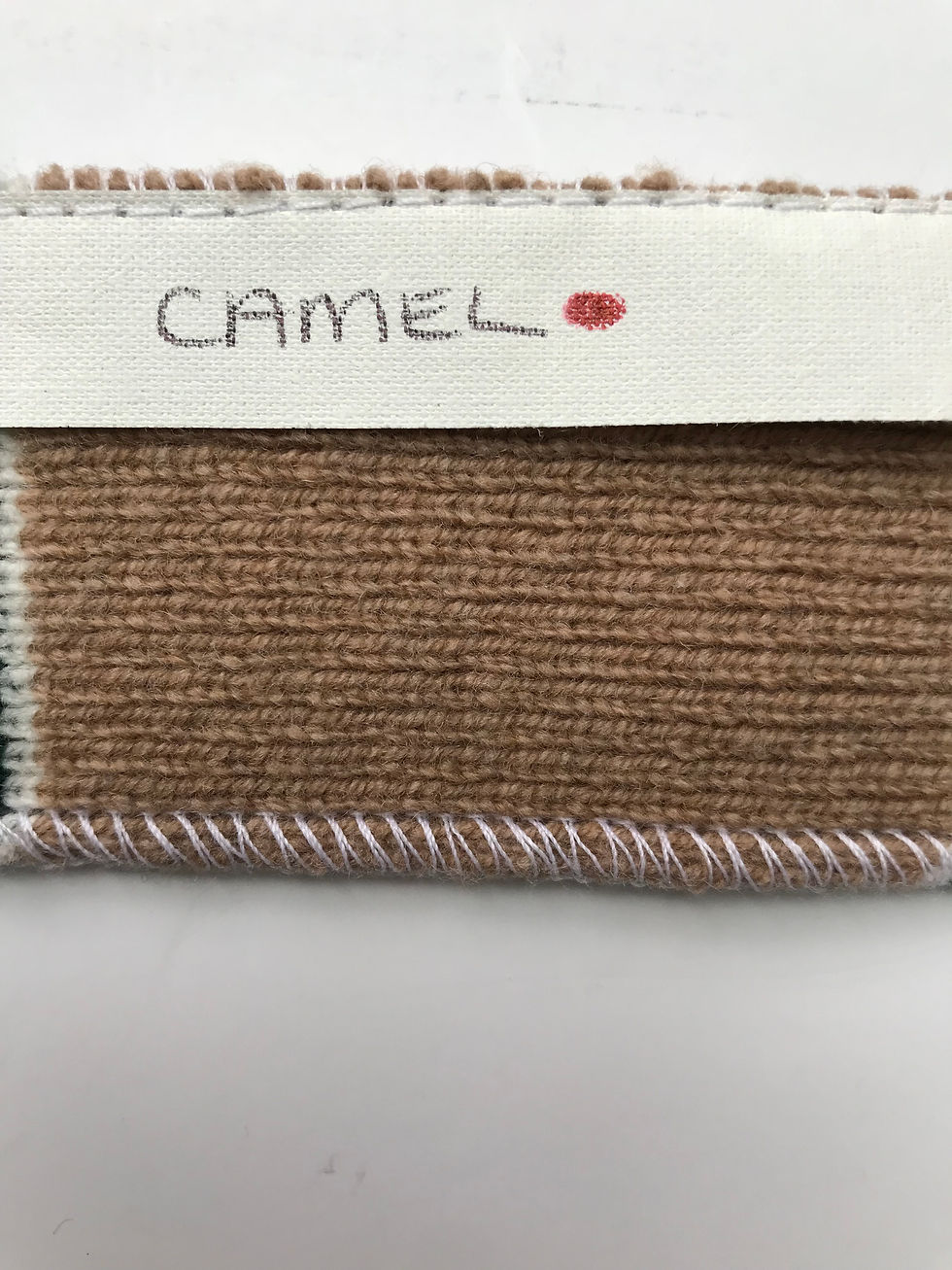Camel