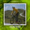 Miniatura: MAILLOT INVIERNO FIR GREEN