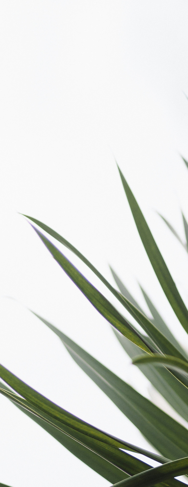 chua-bing-quan-Sg7eWHKrxrA-unsplash.jpg