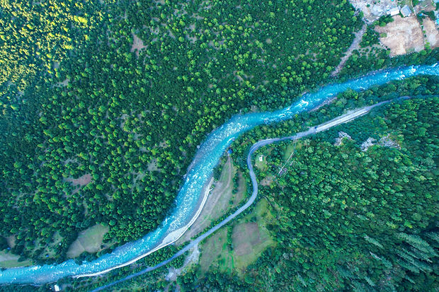 treesan-9BJsuTrme1o-unsplash.jpg