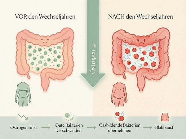 wevhseljahre-grafik.jpg