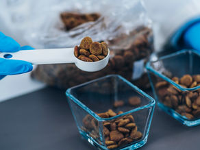 The Truth About Dog Food Labels: What Every Owner Should Know