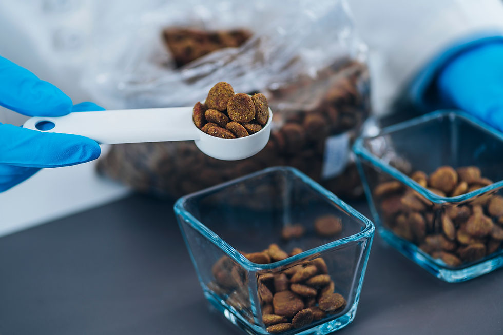 The Truth About Dog Food Labels: What Every Owner Should Know