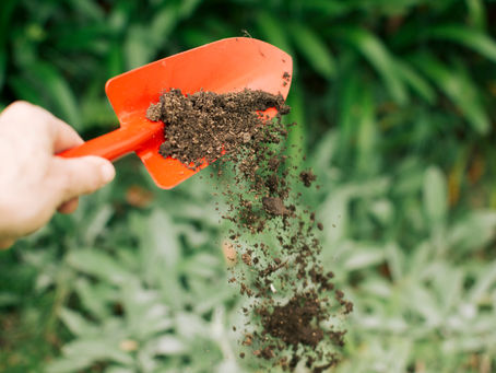 Rasen düngen: Der komplette Guide für Einsteiger